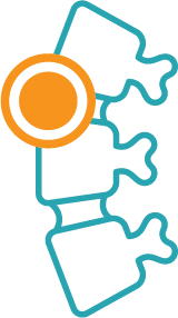 Spine Physio Central Coast