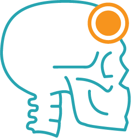 Vestibular Physiotherapy Central Coast